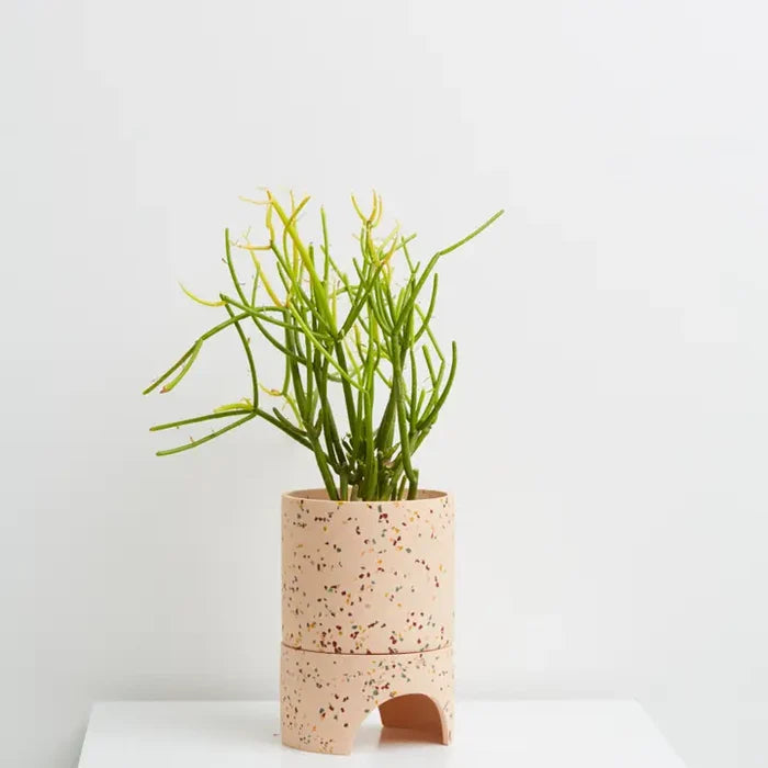 Archie Planter