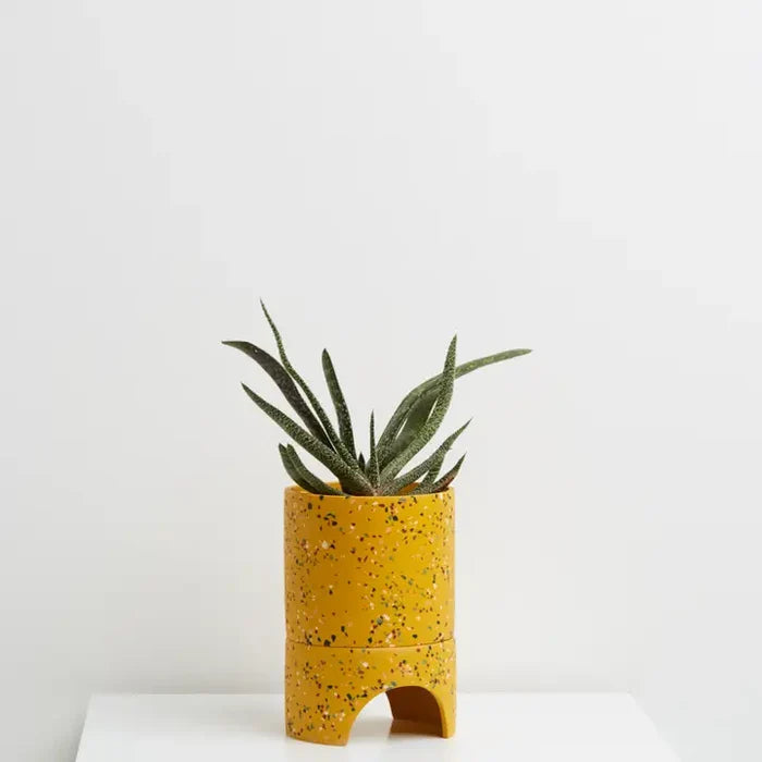 Archie Planter