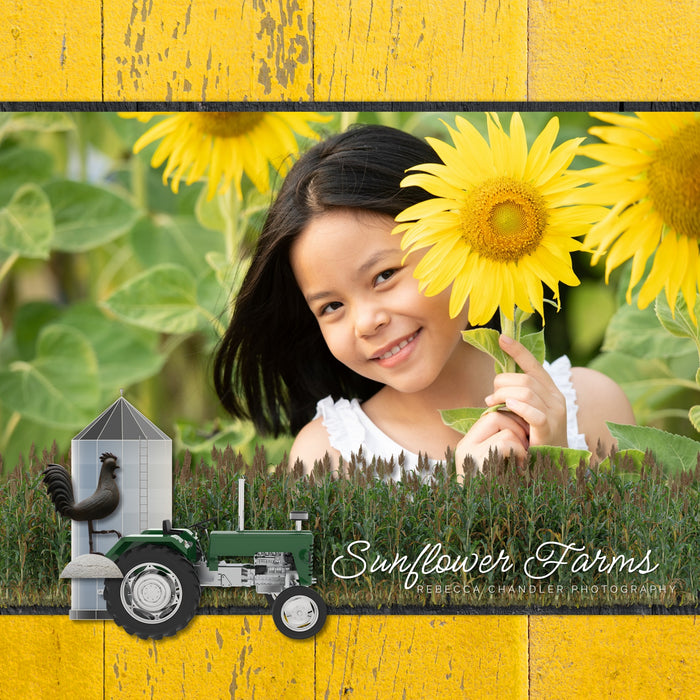 The Around the Farm Mega Bundle by Lucky Girl Creative explores life around the farm, barn, and garden. With modern agriculture machinery and tractor equipment, barnyard animals, crops, feed and seed, garden vegetables, and vintage farm elements, this digital scrapbooking collection will showcase your farm photos in authentic style. Also great for documenting farm field trip visits, 4H projects, or state and county fairs.