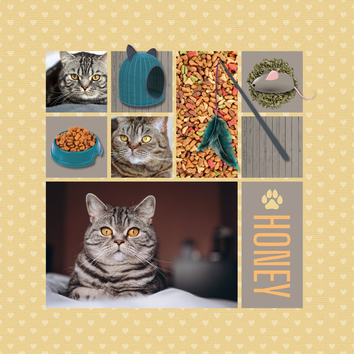 Have fun documenting your favorite cats with these fun, realistic digital art embellishments by Lucky Girl Creative. Elements include many breeds of kitty cats and puppy dogs in addition to all the pet toys, beds, grooming tools, and food they need.