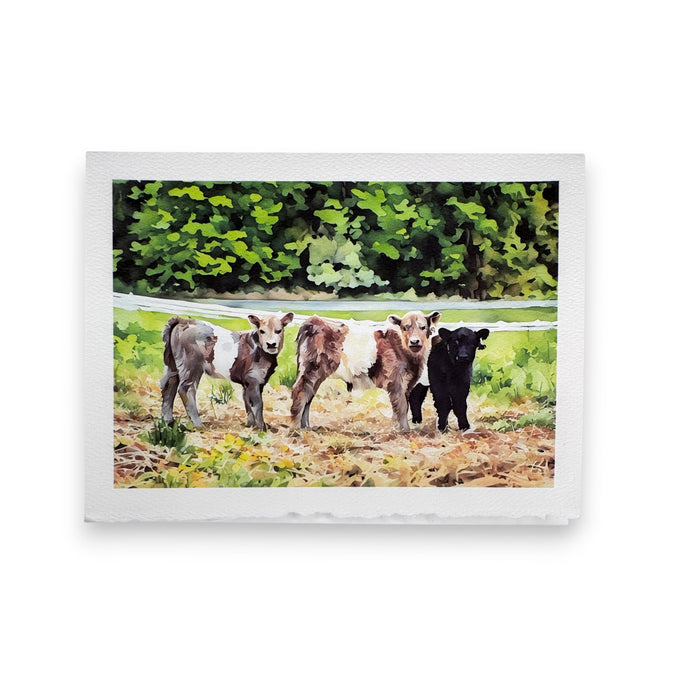 Four calves—three brown, one black—stand together in a grassy field with forest and white fence, depicted in the charming style of Fearrington watercolor on the PICTURE SALON FEARRINGTON SIGNATURE COLLECTION "SAY CHEESE" greeting card.