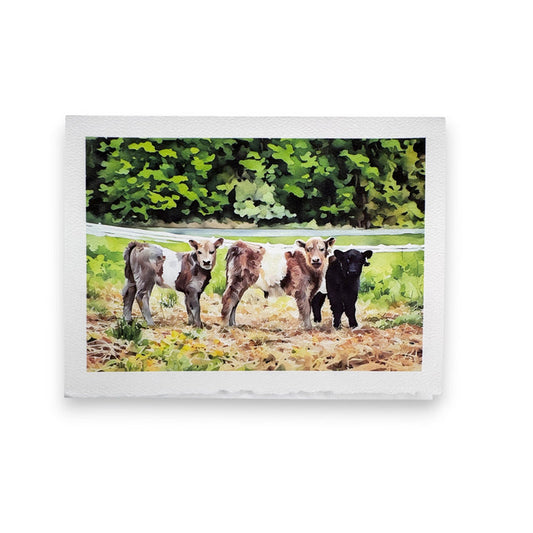 Four calves—three brown, one black—stand together in a grassy field with forest and white fence, depicted in the charming style of Fearrington watercolor on the PICTURE SALON FEARRINGTON SIGNATURE COLLECTION "SAY CHEESE" greeting card.