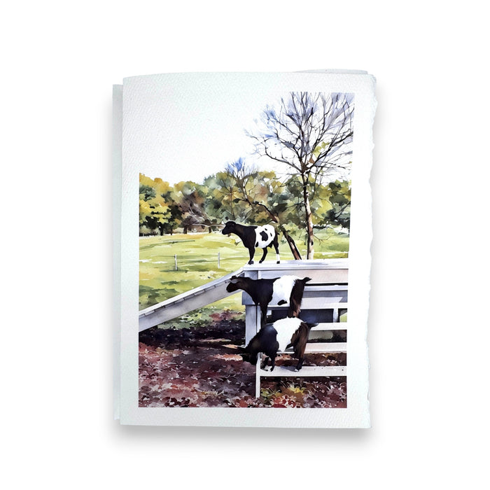 The FEARRINGTON SIGNATURE COLLECTION - WATERCOLOR GREETING CARD "STEP IT UP" by PICTURE SALON features two black and white goats on a wooden ramp in a grassy outdoor scene—perfect for capturing the charm of village life.