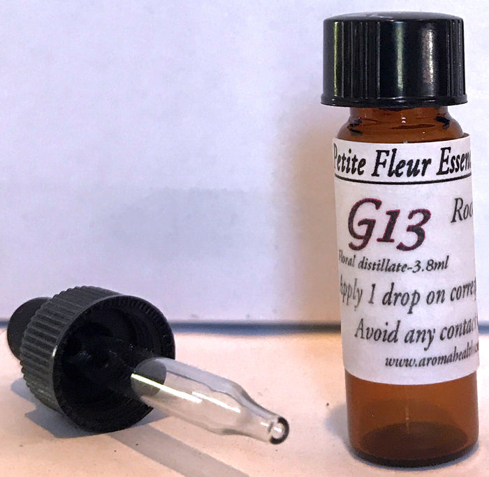 G13