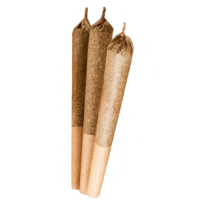 A close-up, angled view of three Girl Scout Cookies Pre Rolled 0.5 g pre-rolls, displaying their cylindrical shape and light-brown color.