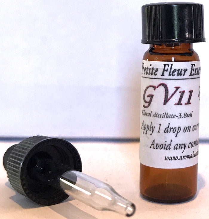 GV11