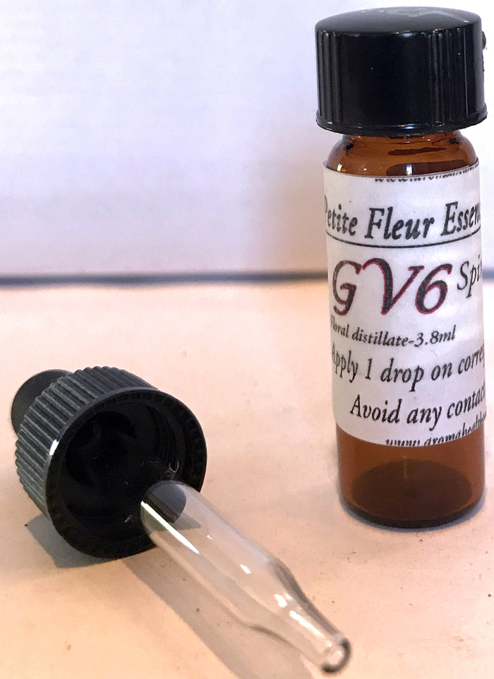 GV6