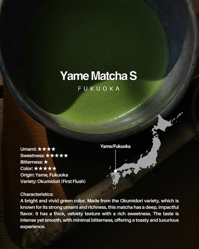 MIYAKO Matcha Selection 10 – 20g × 10 Tasting Set