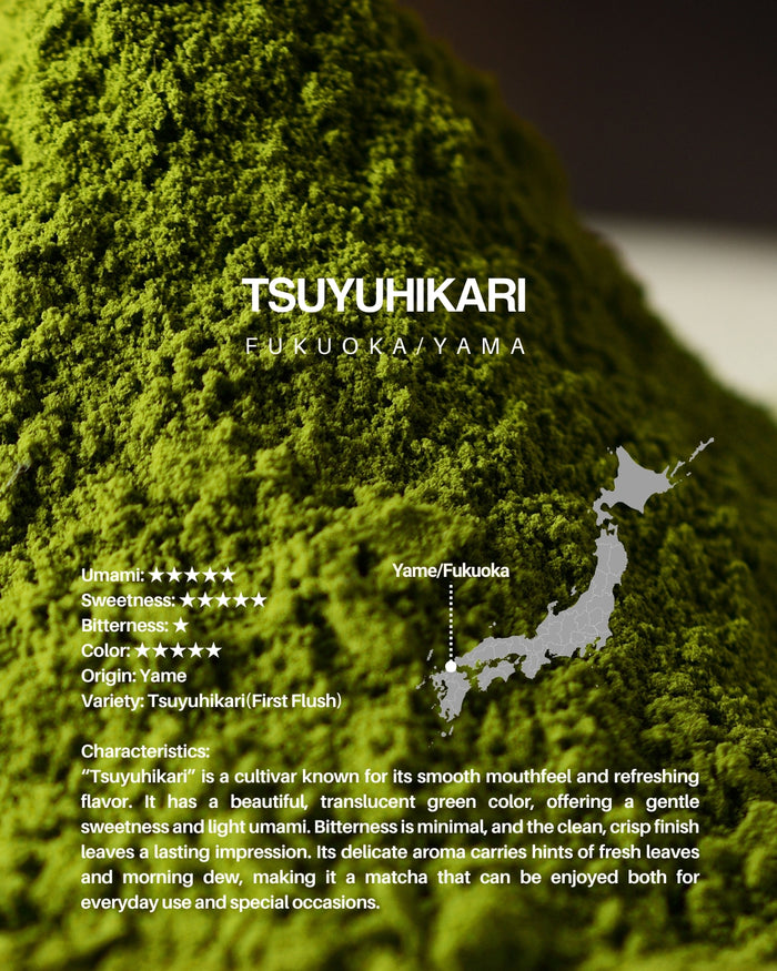 MIYAKO Matcha Selection 10 – 20g × 10 Tasting Set
