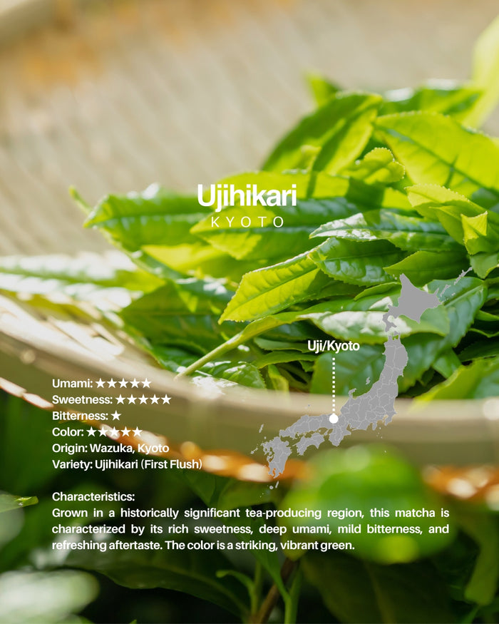MIYAKO Matcha Selection 10 – 20g × 10 Tasting Set