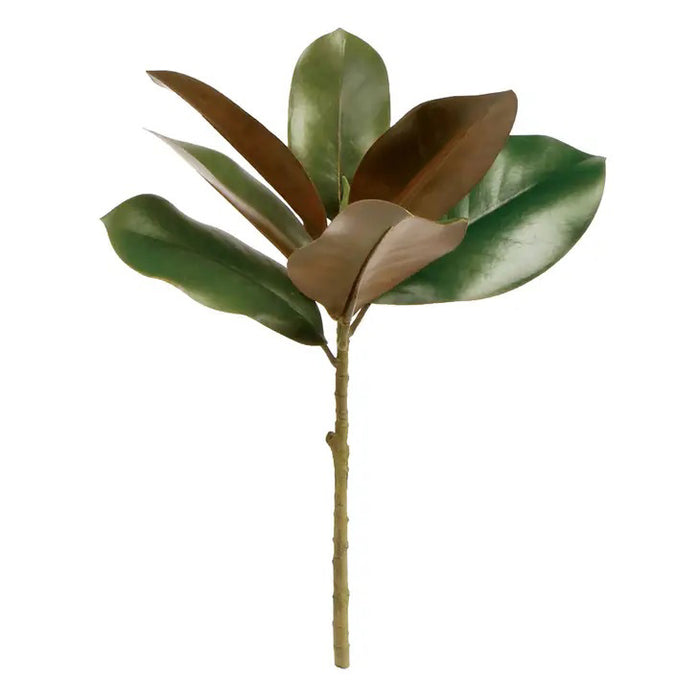The NAPA HOME AND GARDEN - GRAND MAGNOLIA STEM features realistic green and brown magnolia leaves with a natural texture on a light brown stem. Perfect for any setting, this versatile piece is available for instore pickup.