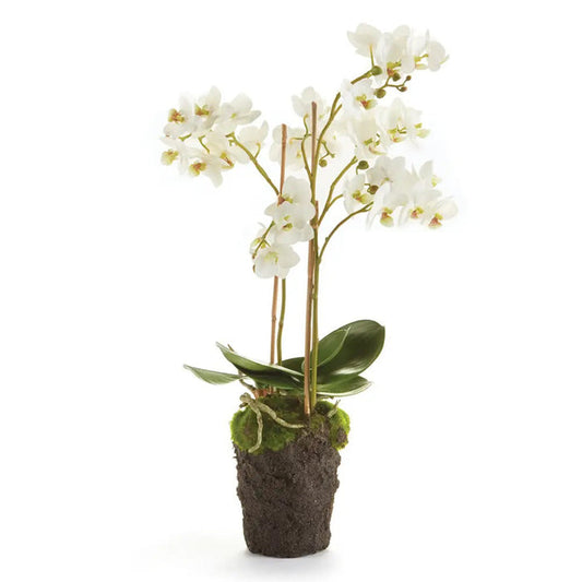 A wooden shelf holds two potted plants: a realistic NAPA HOME AND GARDEN Phalaenopsis Orchid Drop-In 20" with white orchids and another with lush green leaves. A textured white vase completes the no-maintenance décor. Above, two glass pendant lights illuminate the white paneled wall.