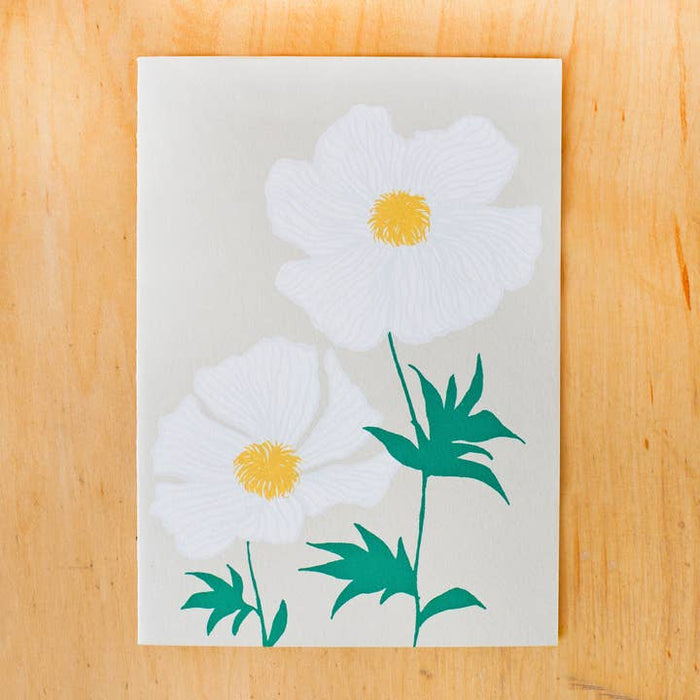 Poppy Card