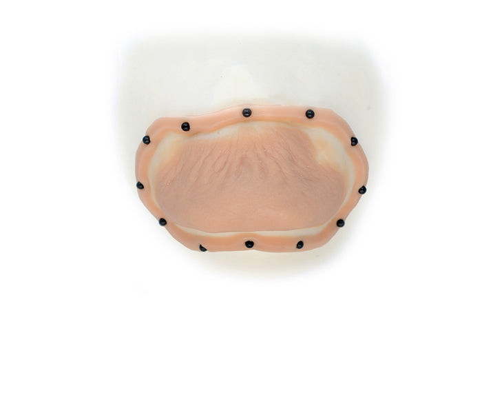 Vampire Chin 2