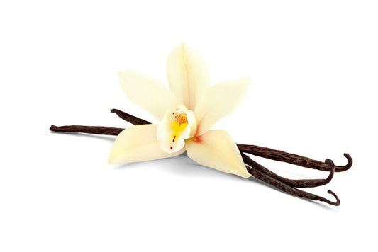 Vanilla Essential Oil (30 g) - زيت الفانيليا الاساسي