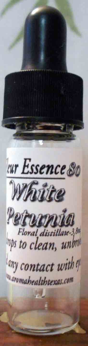 White Petunia,Solanaceae, Flower Essence